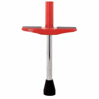 Pogo Stick Indy Junior