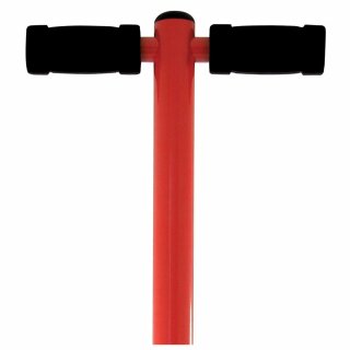 Pogo Stick Indy Junior